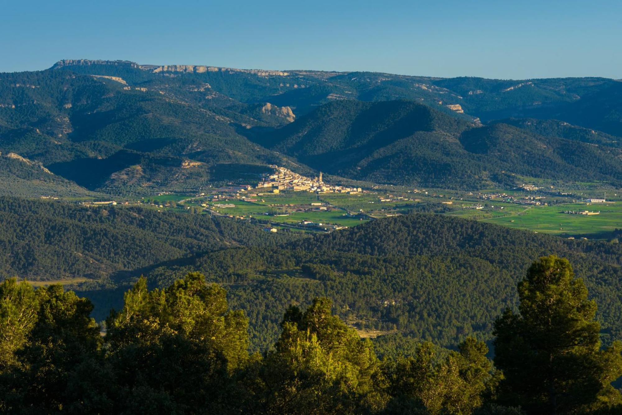 Torre Del Marques Hotel Spa & Winery - Small Luxury Hotels Monroyo Exterior photo