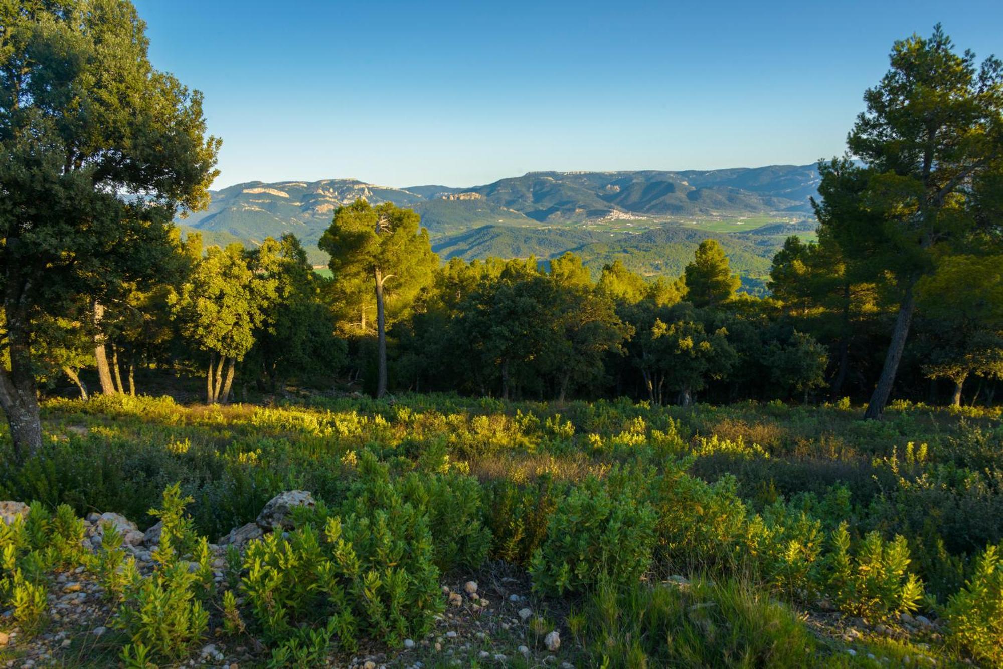 Torre Del Marques Hotel Spa & Winery - Small Luxury Hotels Monroyo Exterior photo