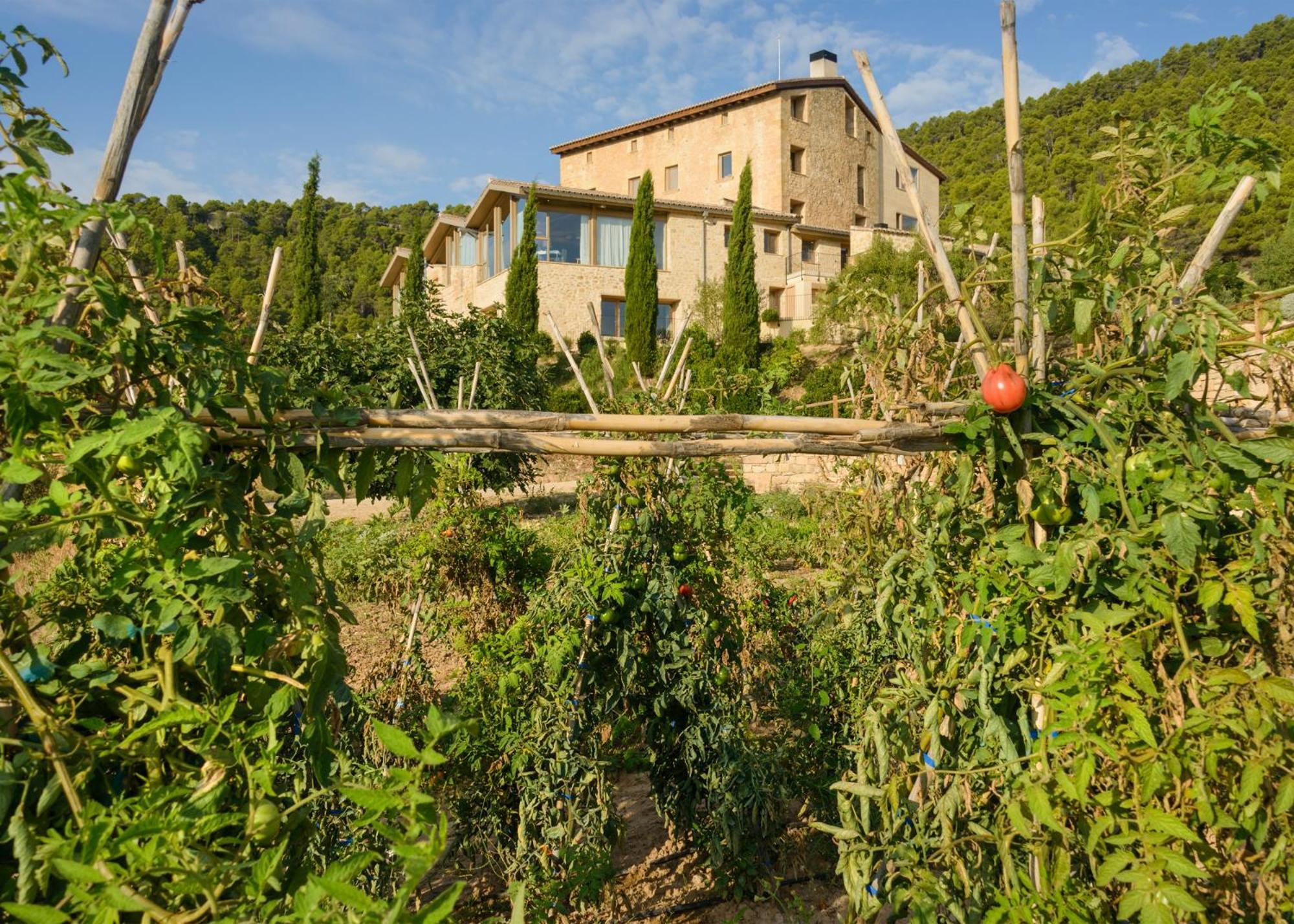 Torre Del Marques Hotel Spa & Winery - Small Luxury Hotels Monroyo Exterior photo